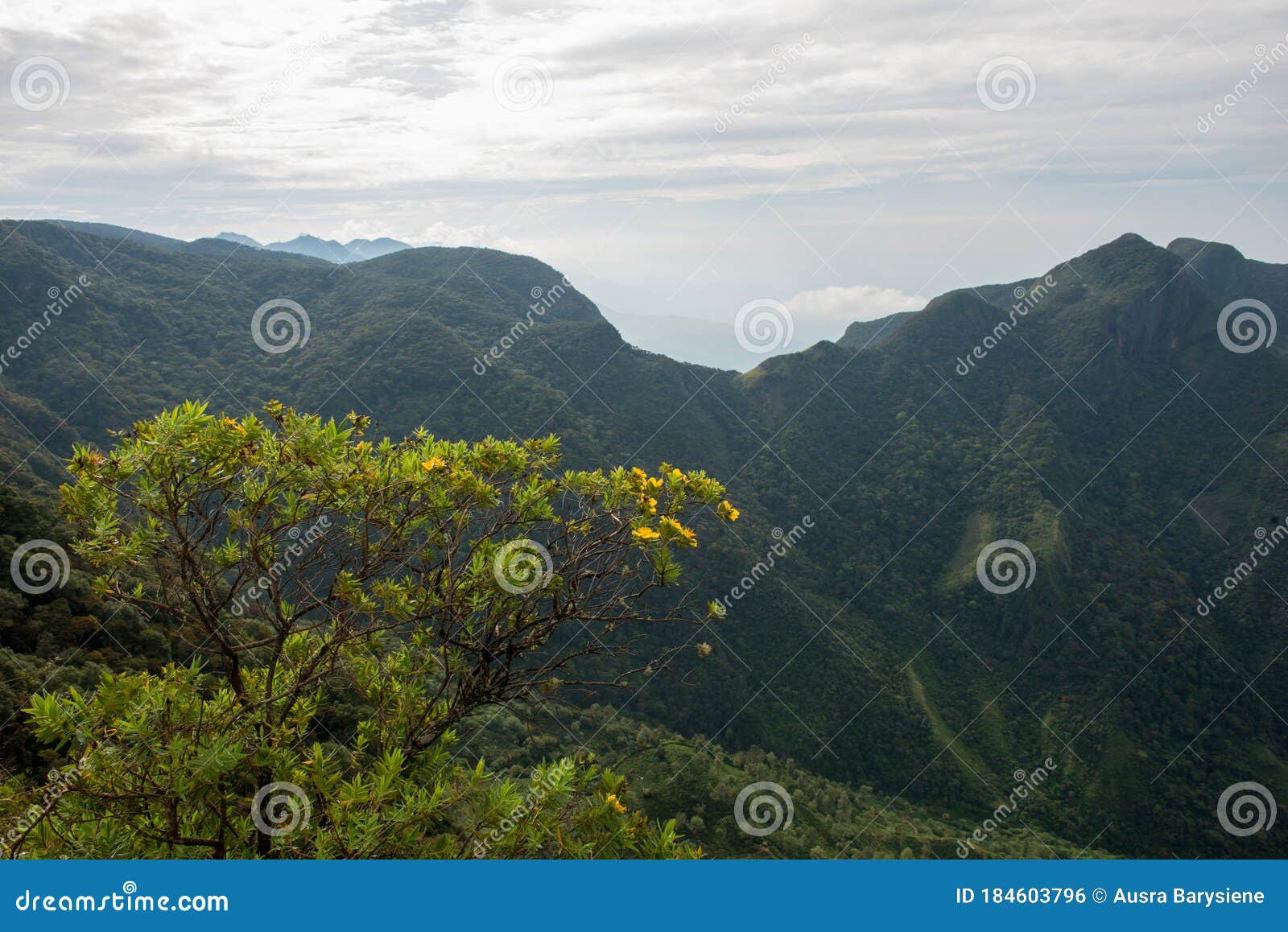 world`s end, landscape of horton plains national park.