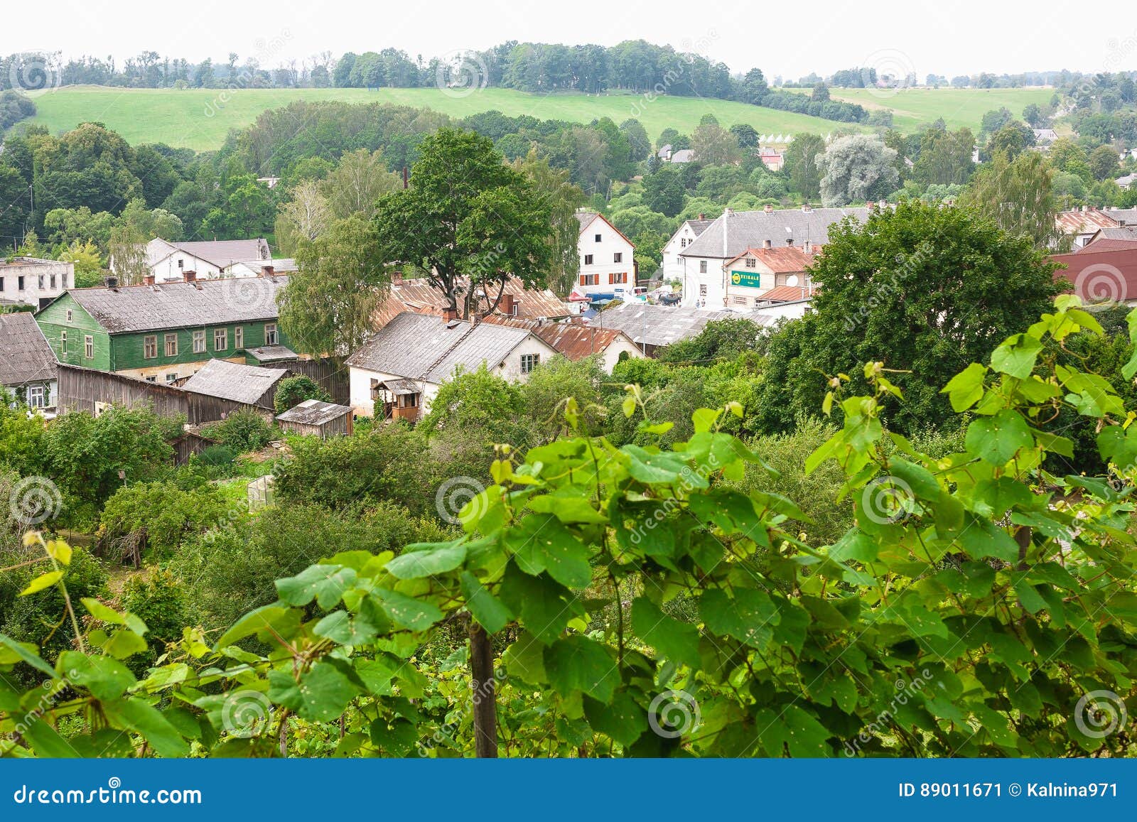 The World`s Most Northern Vineyard in Europe Editorial Photo - Image of ...