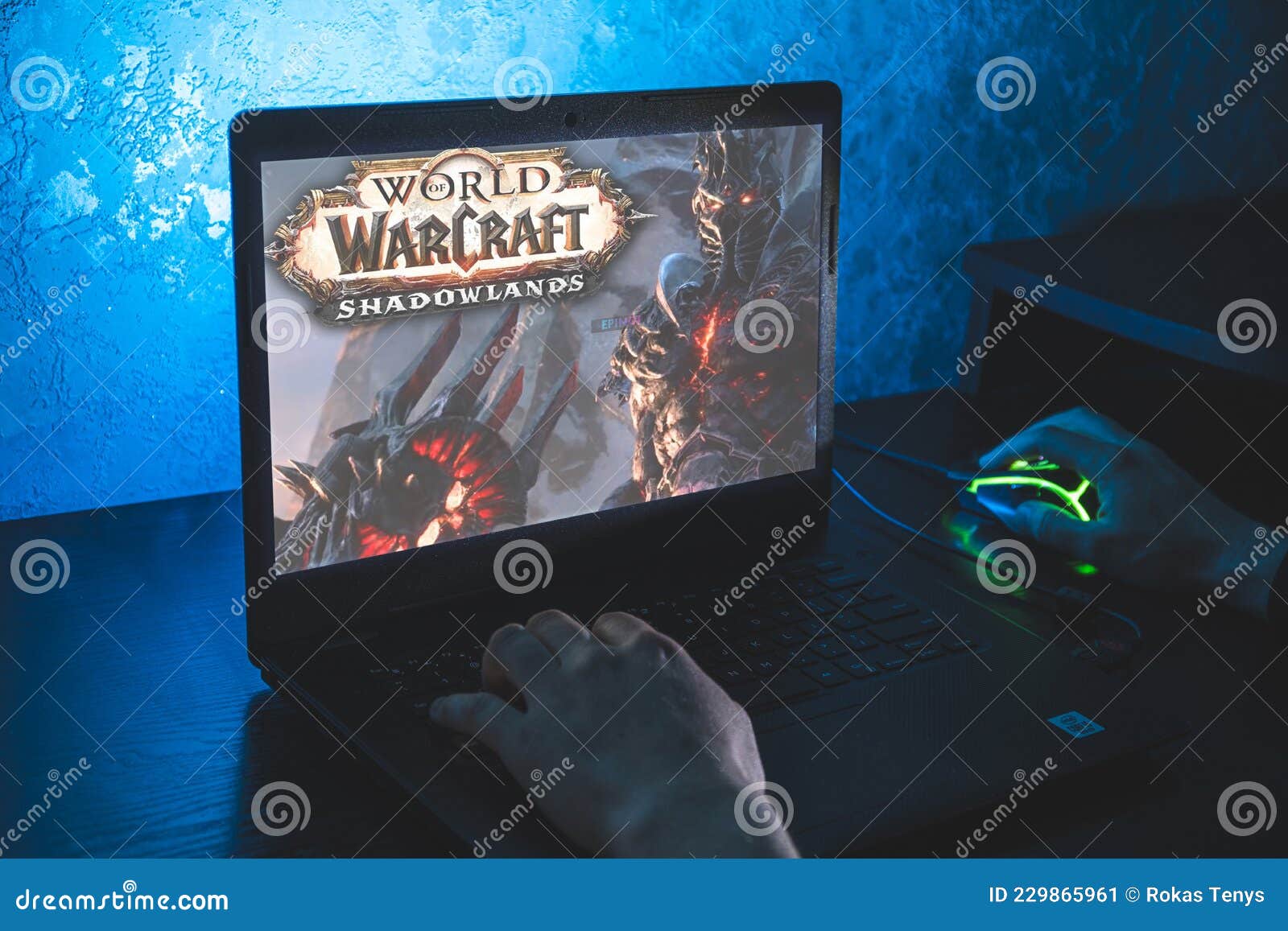 World of Warcraft é Um Jogo De Jogos Online Com Múltiplos Jogadores. Jogo  De Vídeo. Homem Joga Videogame No Laptop Foto Editorial - Imagem de  adolescente, teclado: 229865961