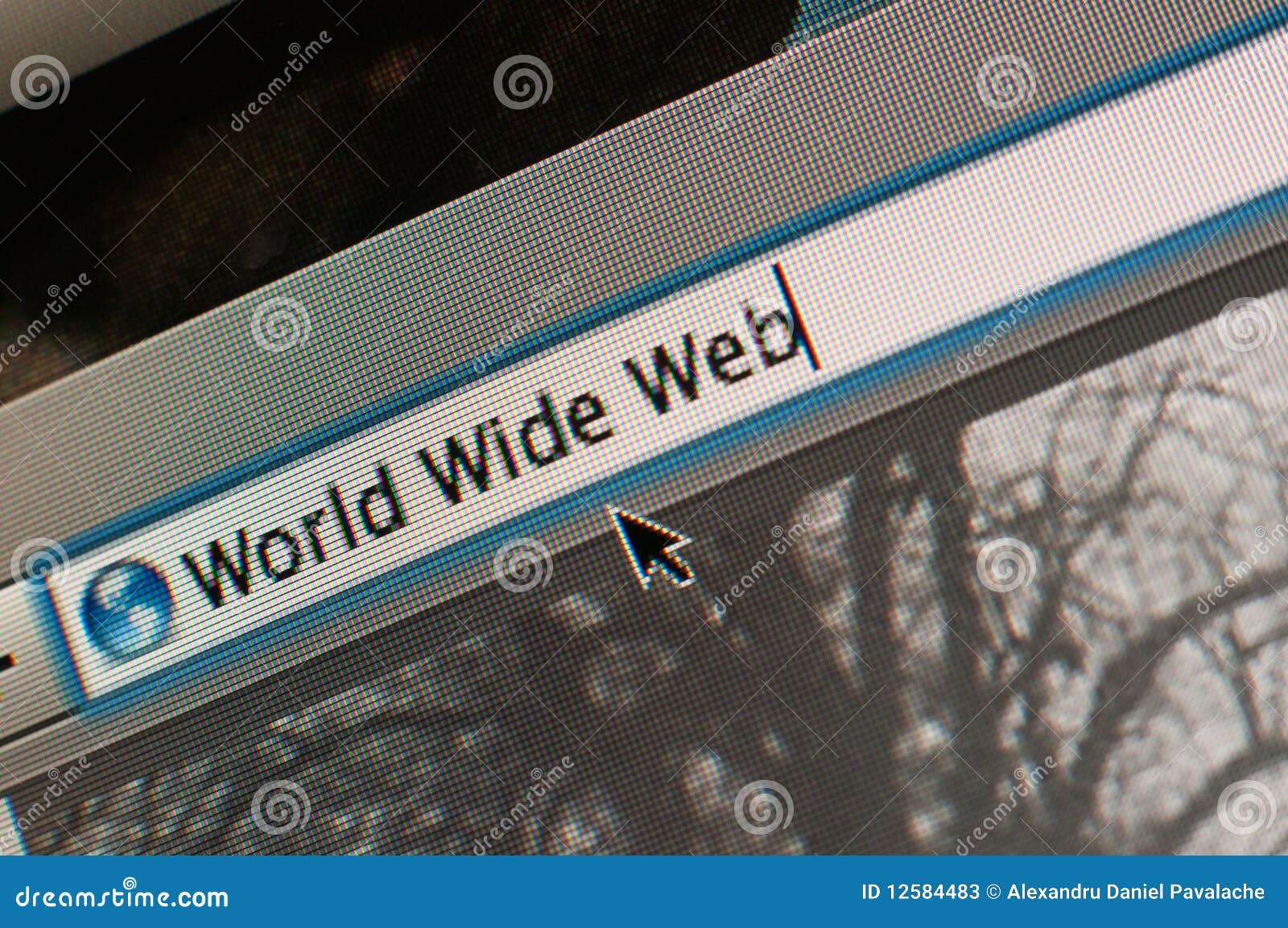 world wide web