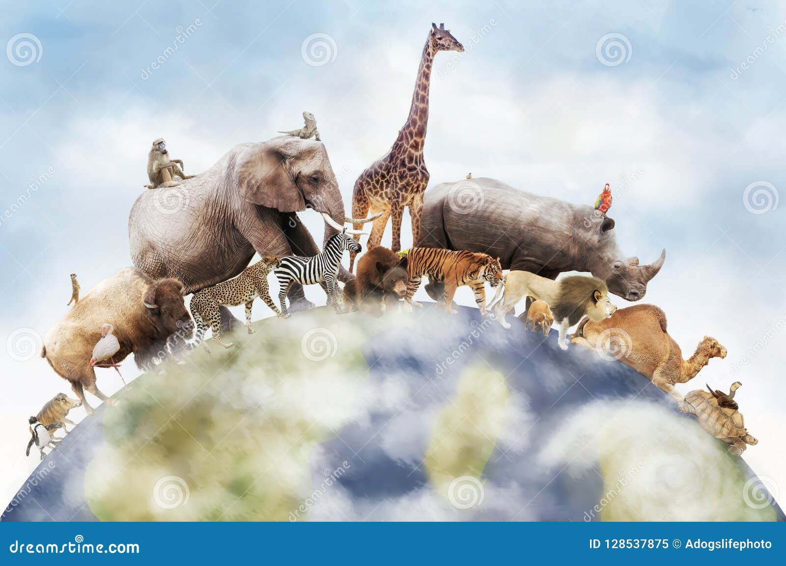 World of Wild Animals stock illustration. Illustration of rhino - 128537875