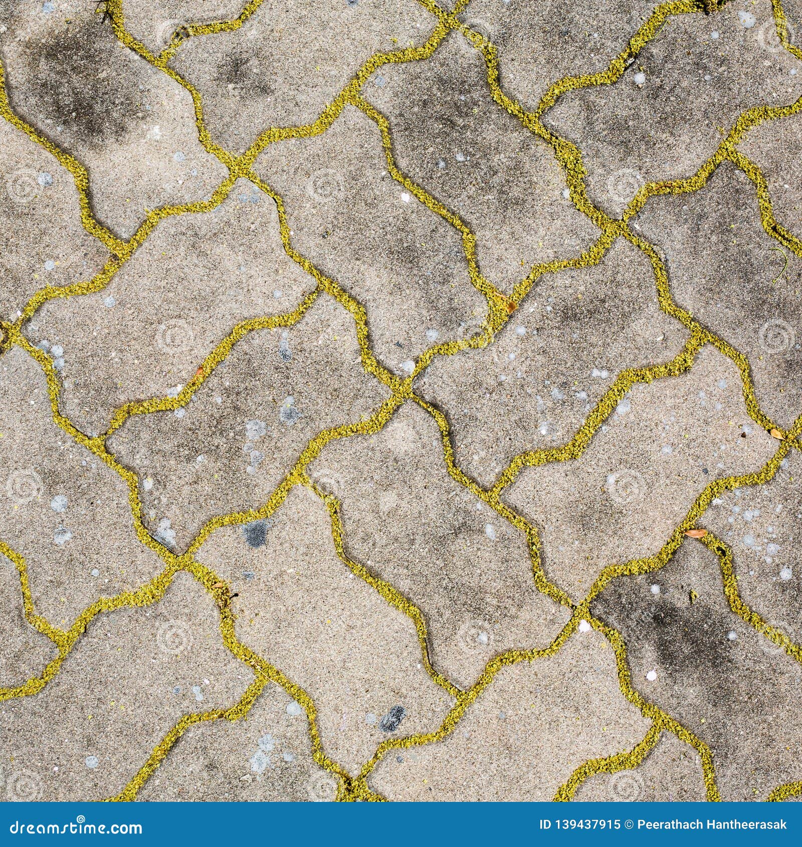 worm brick being colorize with yellow pollen - samut sakhon, thailand