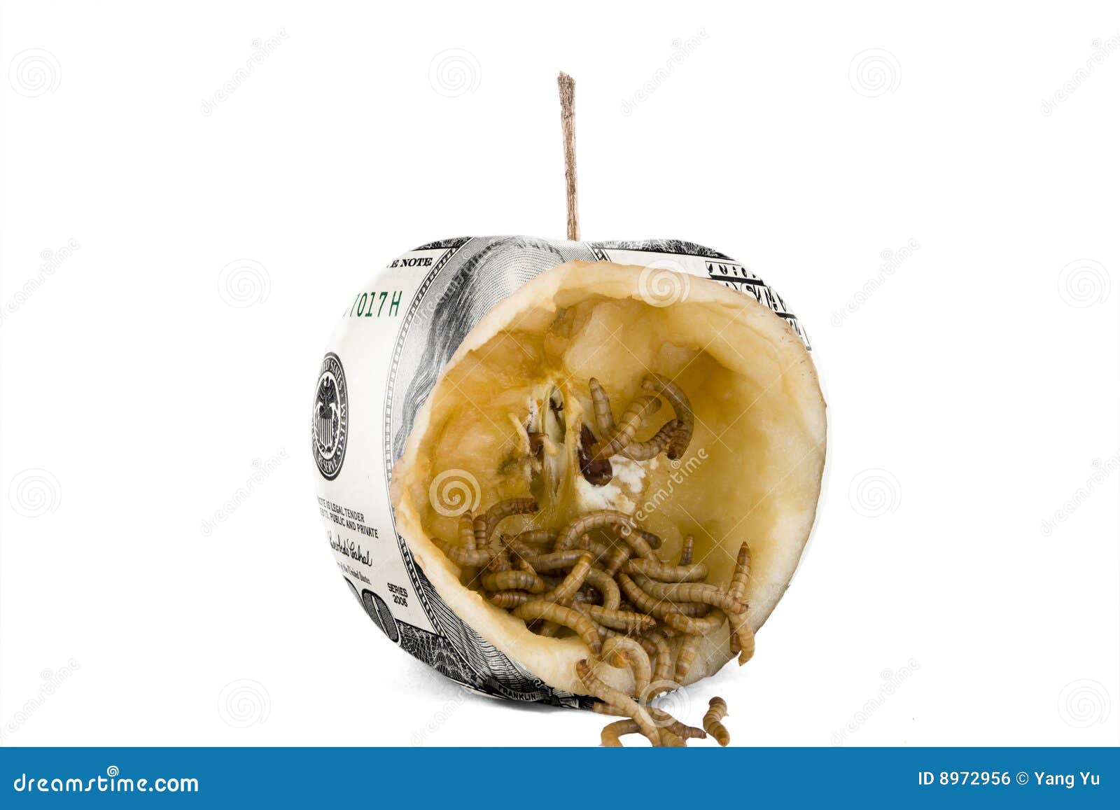 Worm Apple On A Tree, Pests Of Fruit Trees. RoyaltyFree Stock Image