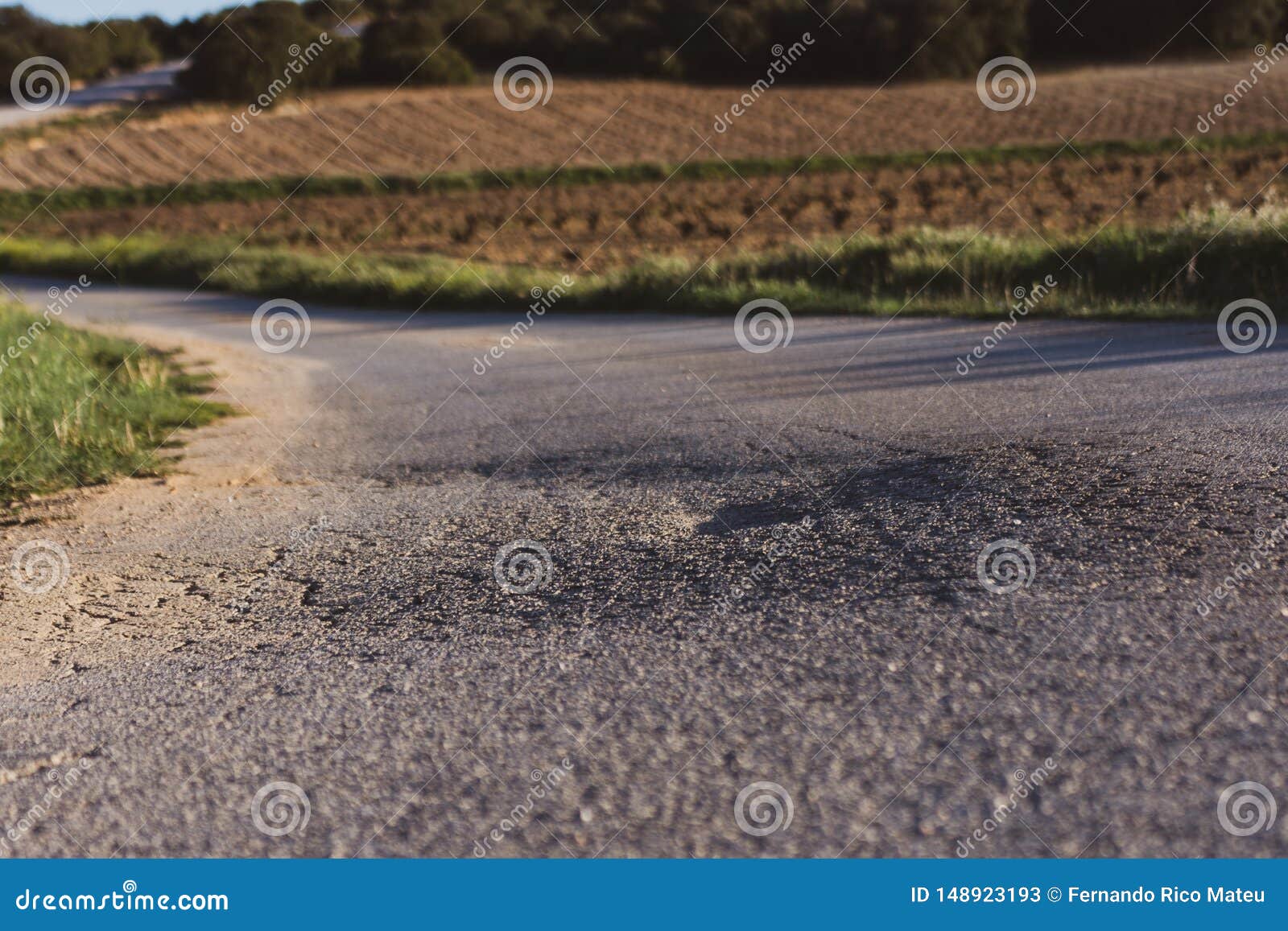 worn asphalt road among green fields in spring. spring time