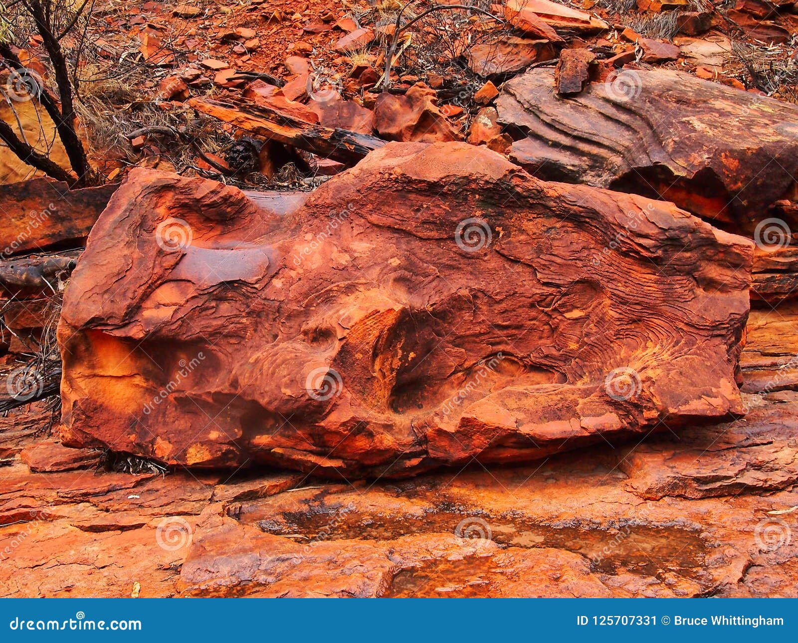 salat Tårer apotek Worn and Eroded Red Rocks, Kings Canyon, Red Centre, Australia Stock Image  - Image of iron, territory: 125707331