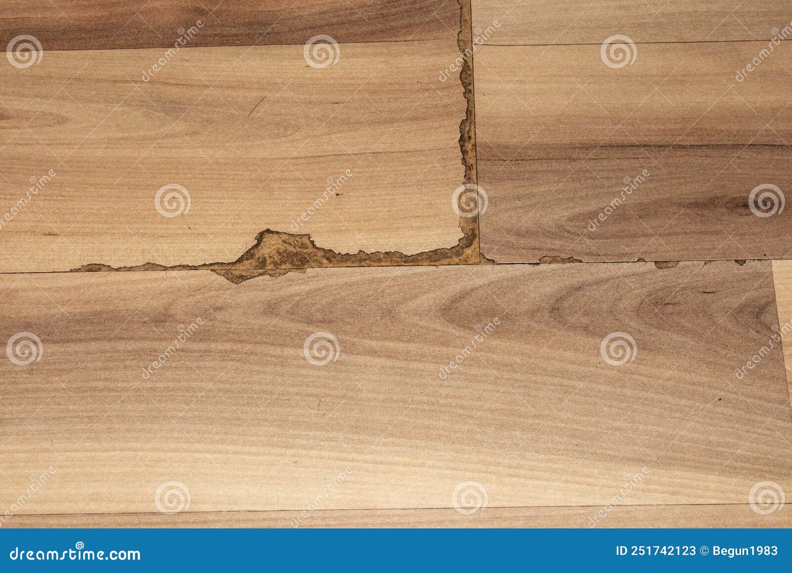 Old Worn Laminate Flooring.the Background of an Old Cracked Laminate.Worn Laminate in Cracks