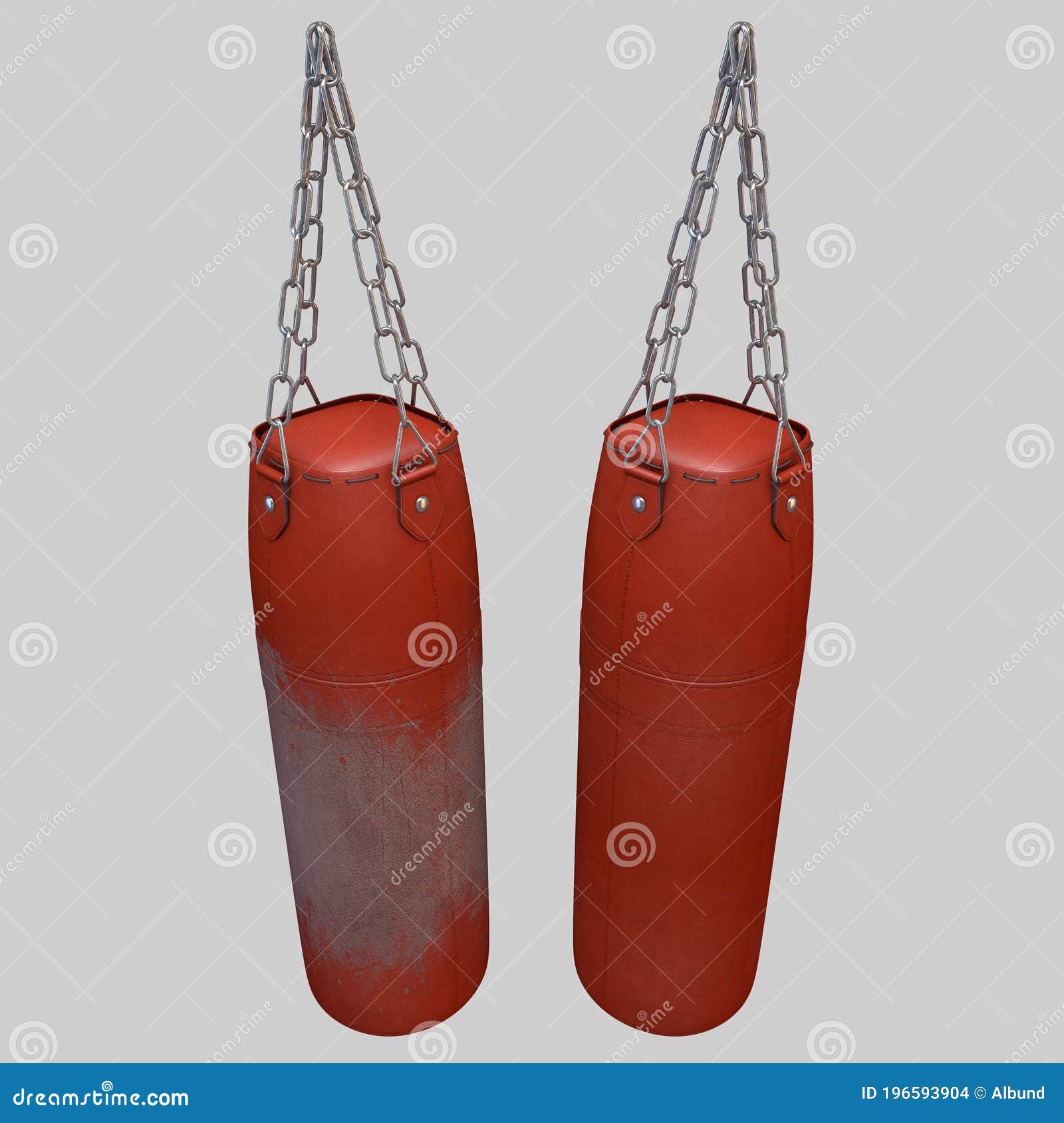 Action shot of male and female boxers in gym training with leather punch  bags  CanStock