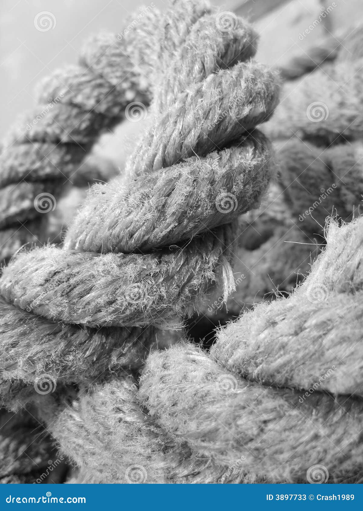 Worn Out Rope stock image. Image of unique, white, grab 3897733