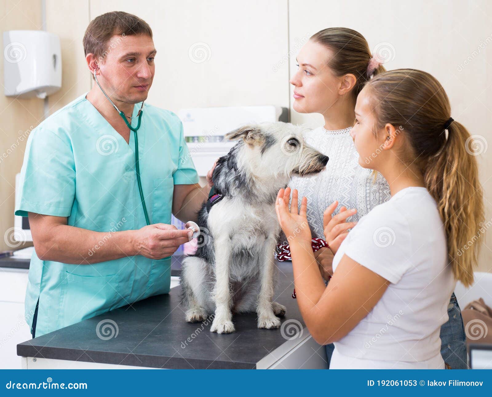 pet family clinic