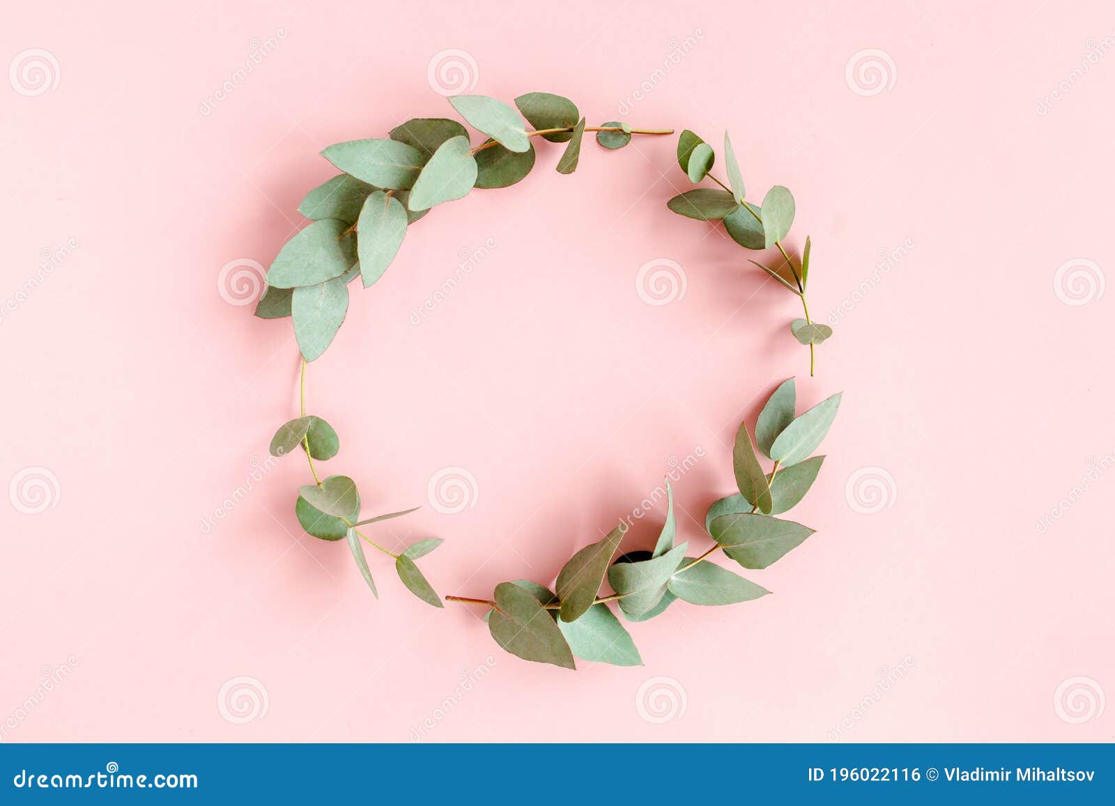 wreath frame made of branches eucalyptus and leaves  on pink background. lay flat, top view