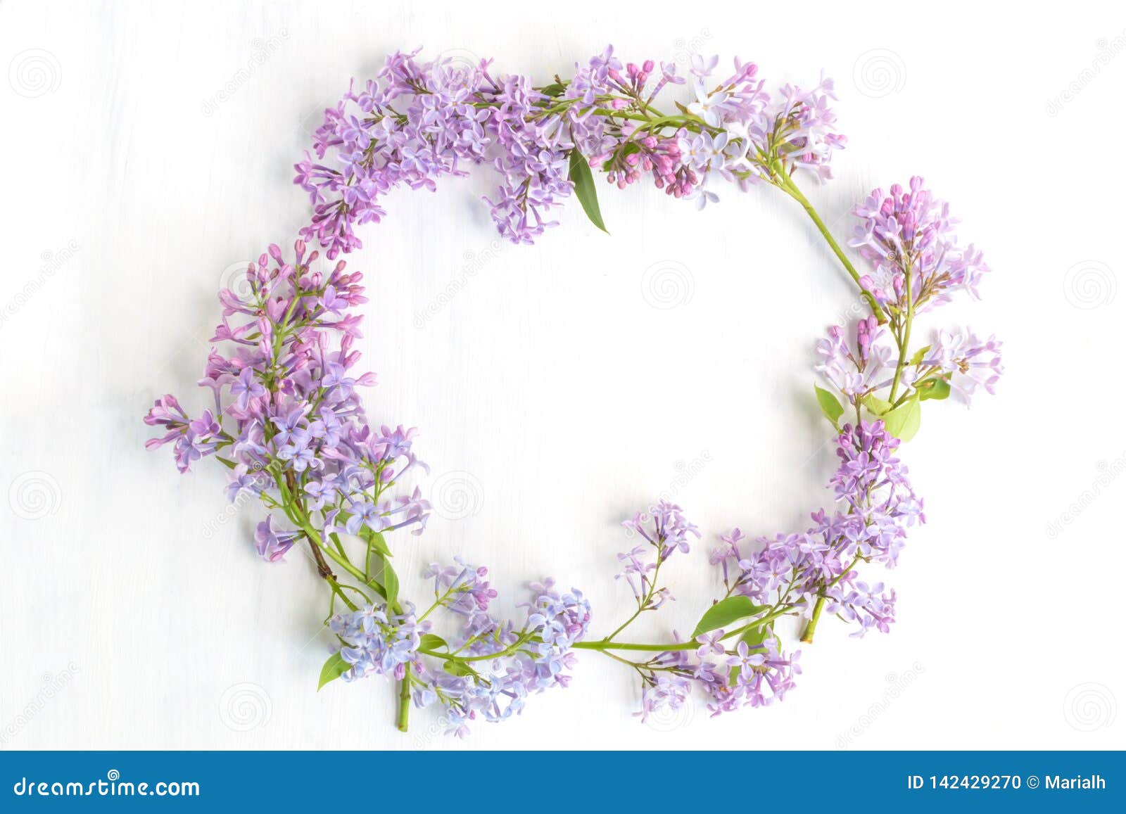 Wreath of lilac branch stock photo. Image of garland - 142429270