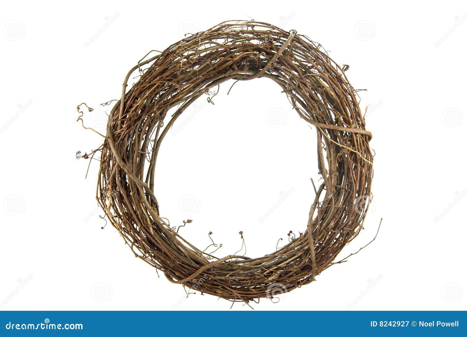 Wreath on White stock image. Image of studio, round, branch - 8242927