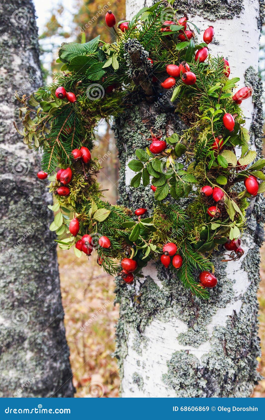 Wreath of Wild Rose and Tree Branches Stock Image Image of decorative