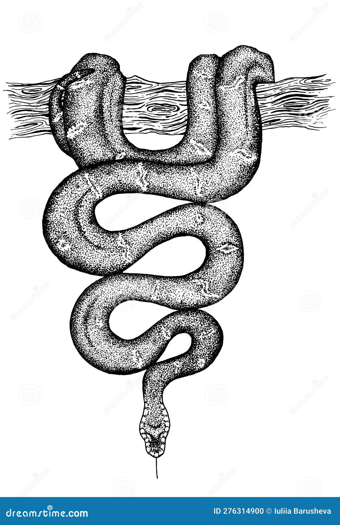 wriggle snake hanging on a tree ink hand drawing 