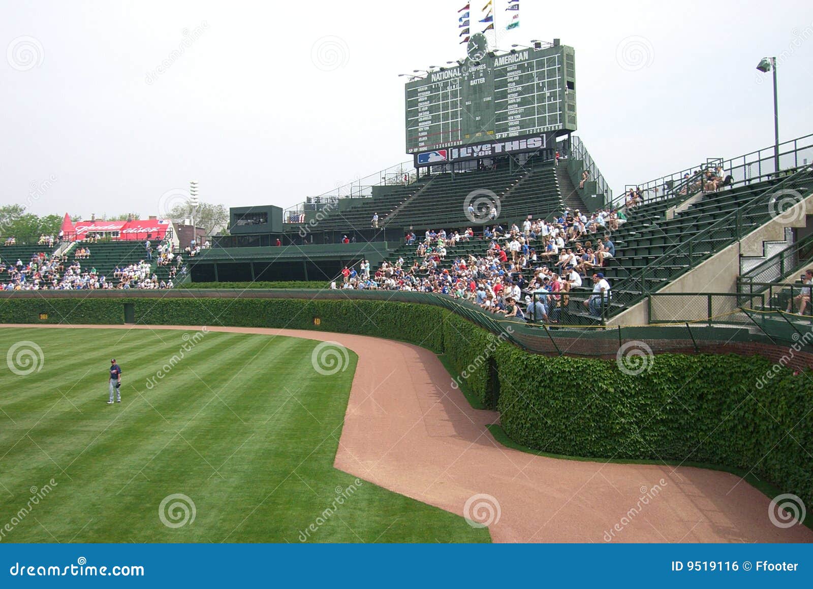 Wrigley Field Ivy Stock Photos - Free & Royalty-Free Stock Photos