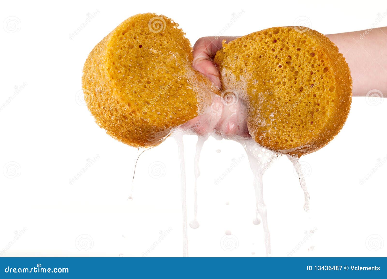 wringing-out-sponge-white-13436487.jpg