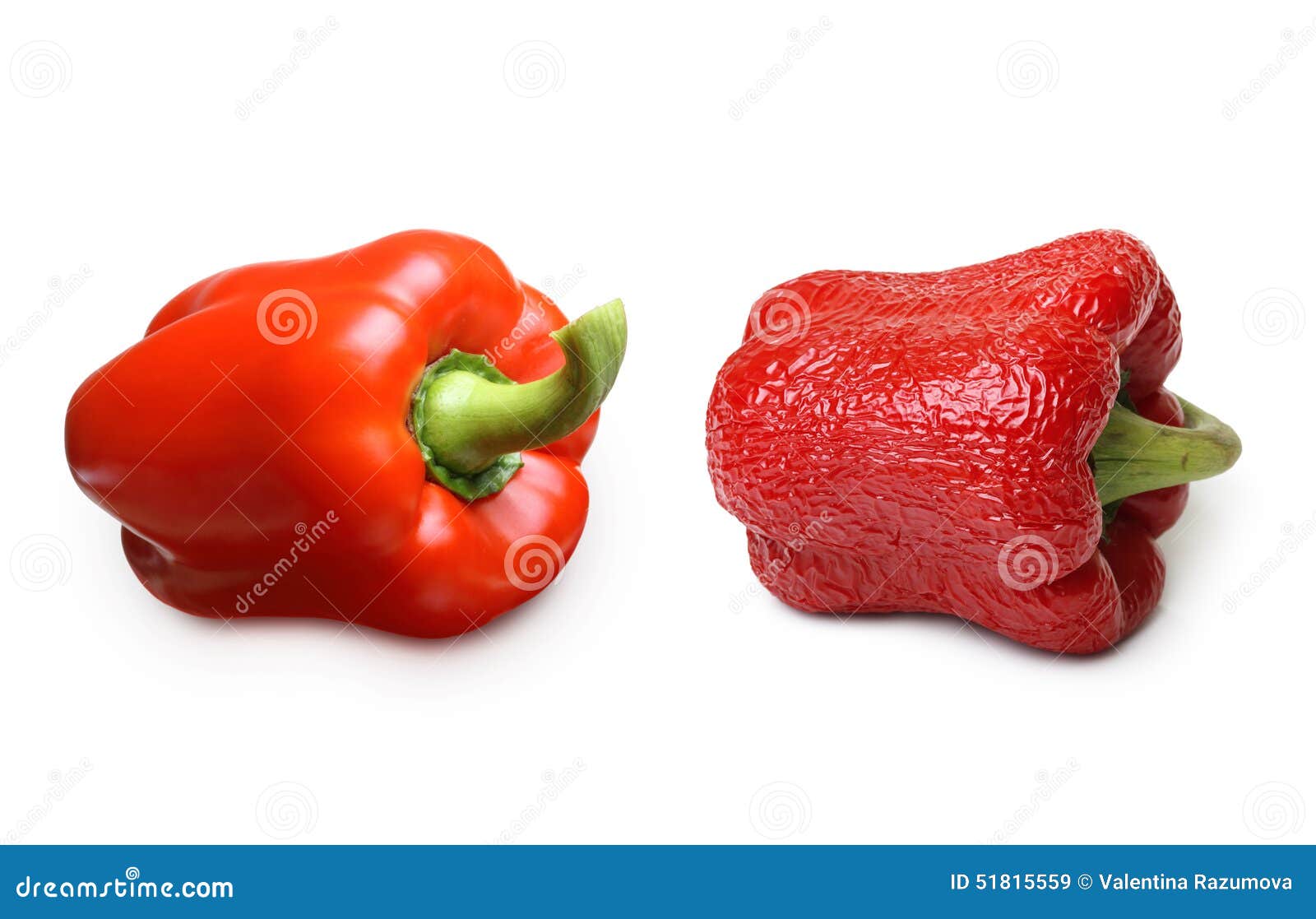 Wrinkled and Fresh Pepper Isolated Stock Image Image of young