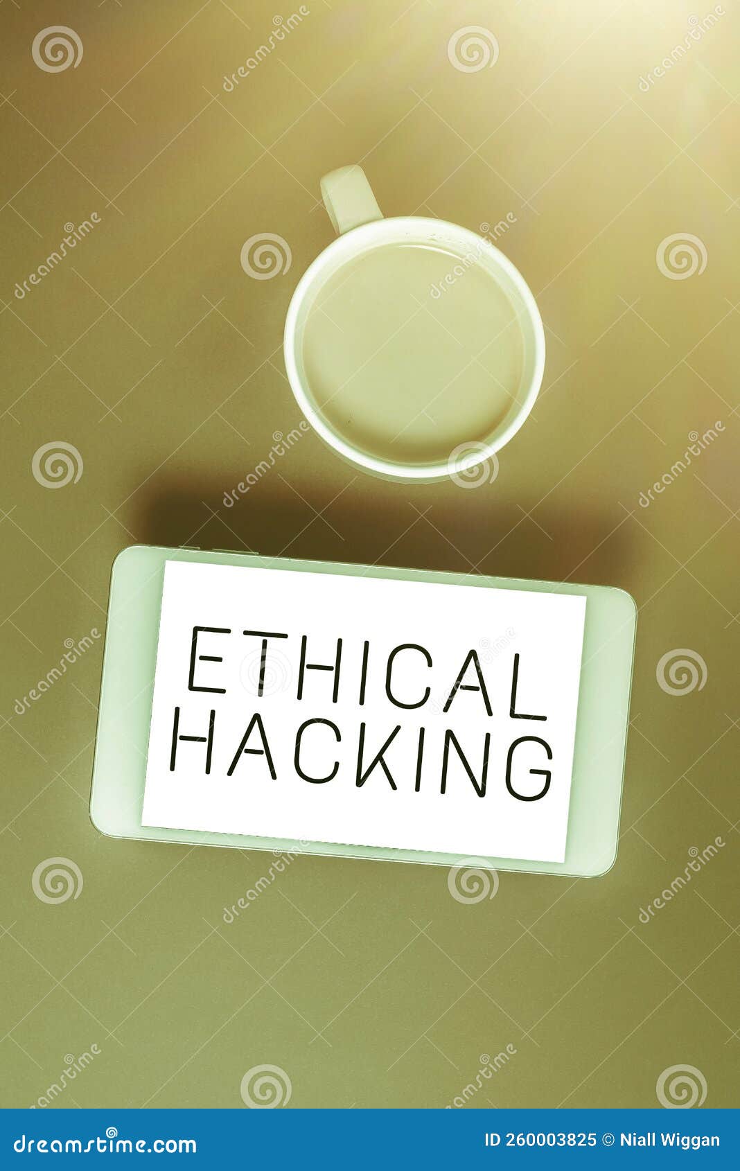 Ethical Hacking With Net