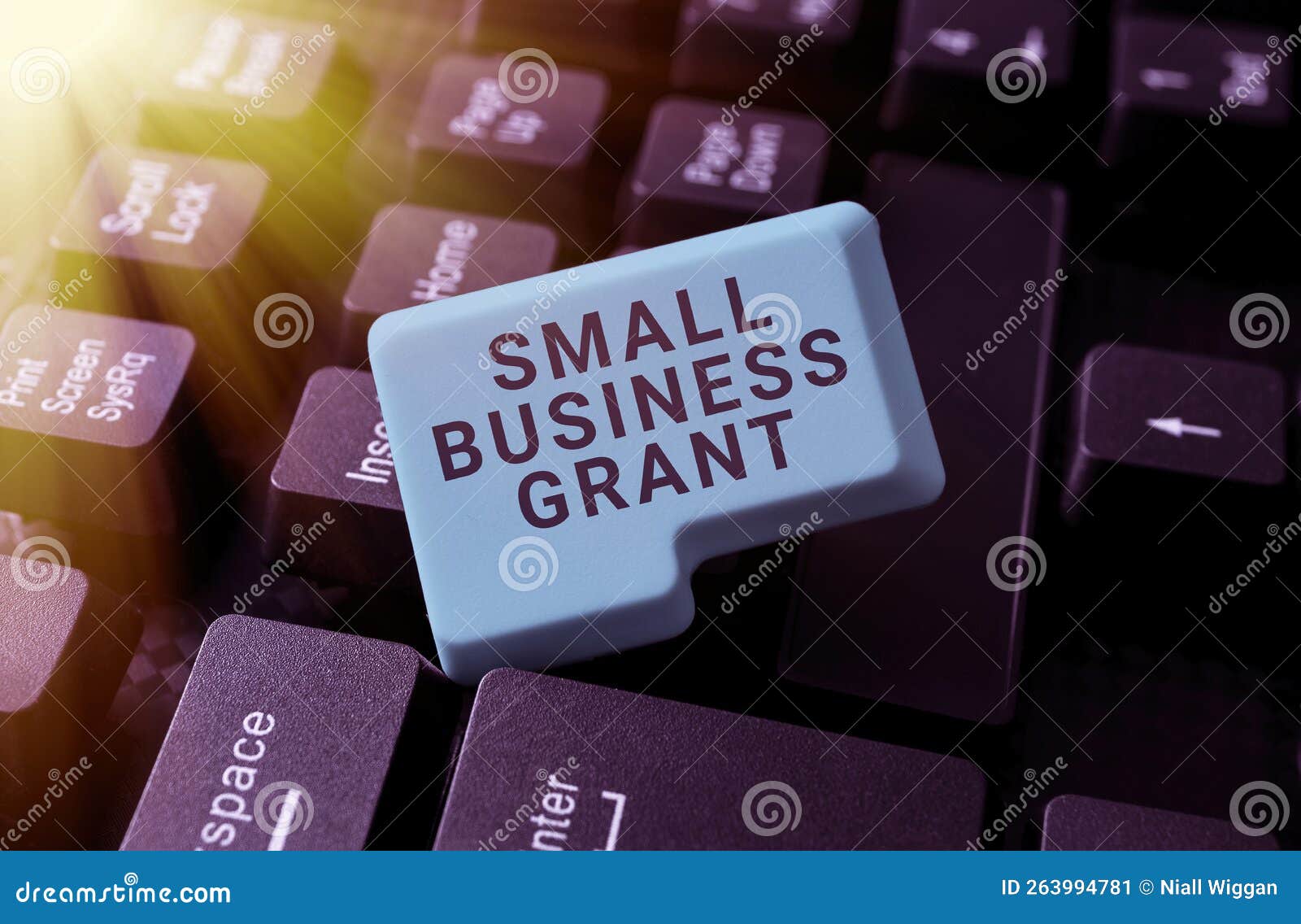 text sign showing small business grant. business idea an individual-owned business known for its limited size