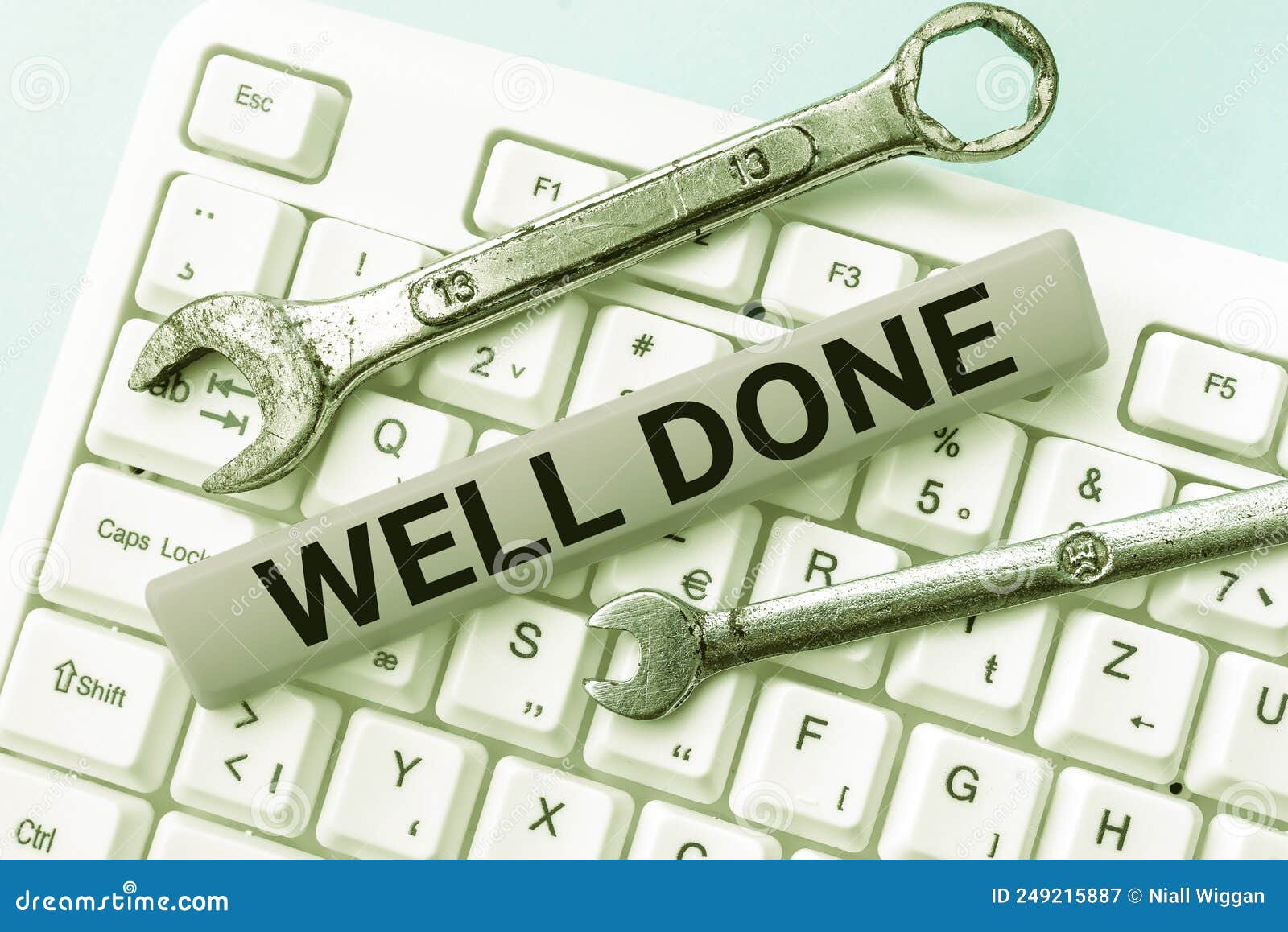 writing displaying text well done. word written on peform accurately and diligently with skill and efficiently -49106