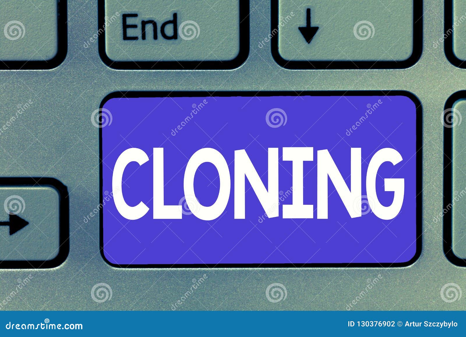 cloning wa business cloning wa business