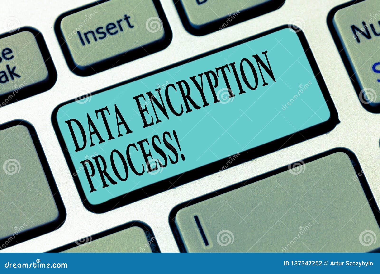 Rsa encryption picture