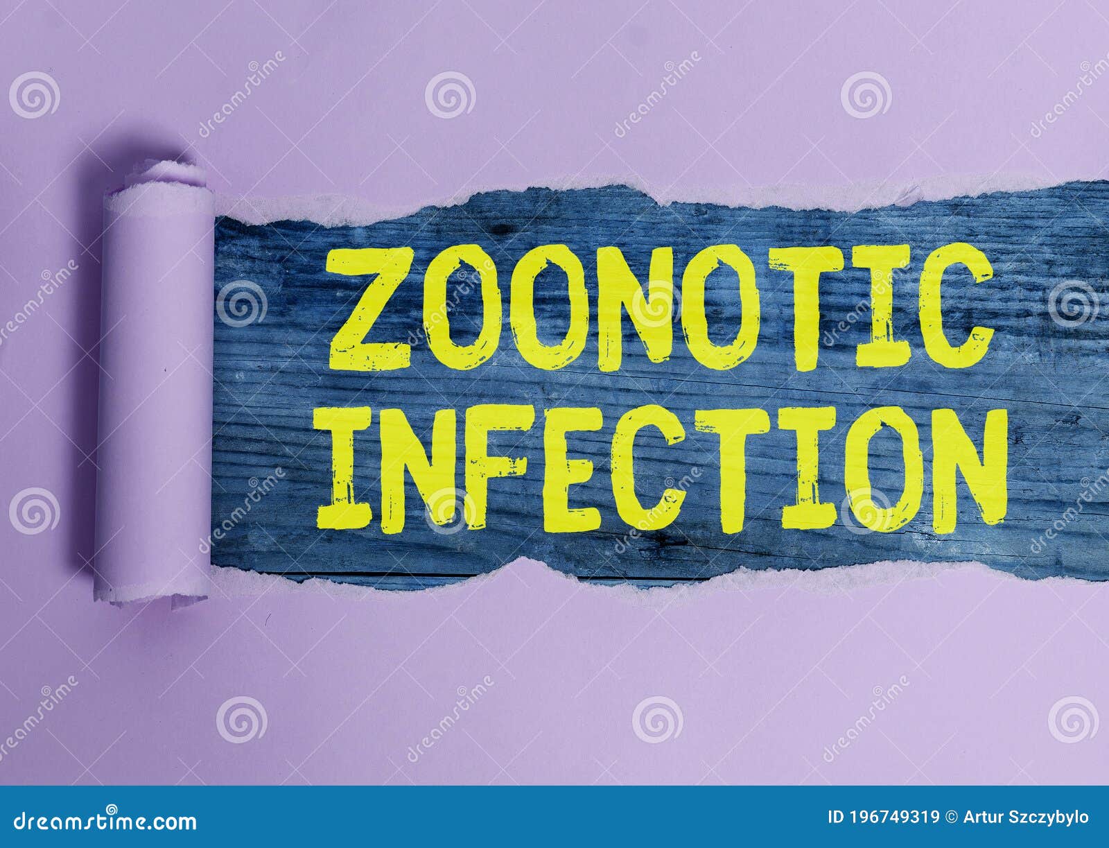 writing note showing zoonotic infection. business photo showcasing communicable disease transmitted by a non viral agent