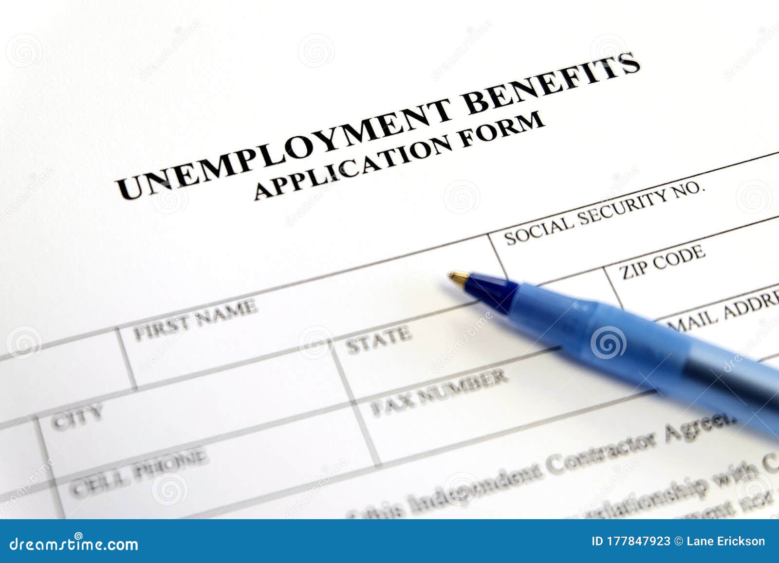 unemployment benefits application form