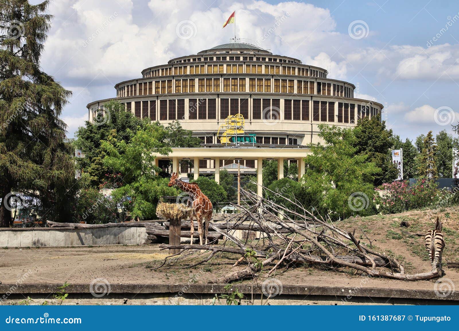 Wroclaw Polonia Fotografia Editorial Imagen De Pasillo 161387687
