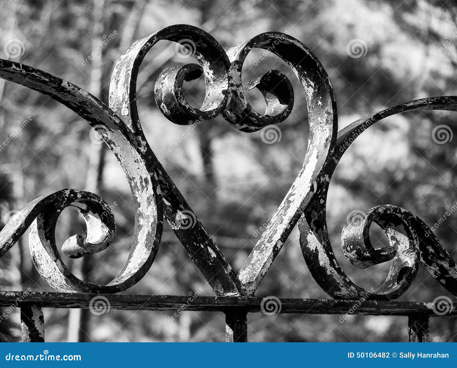 Wrought iron heart stock photo. Image of sepia, gate 50106482