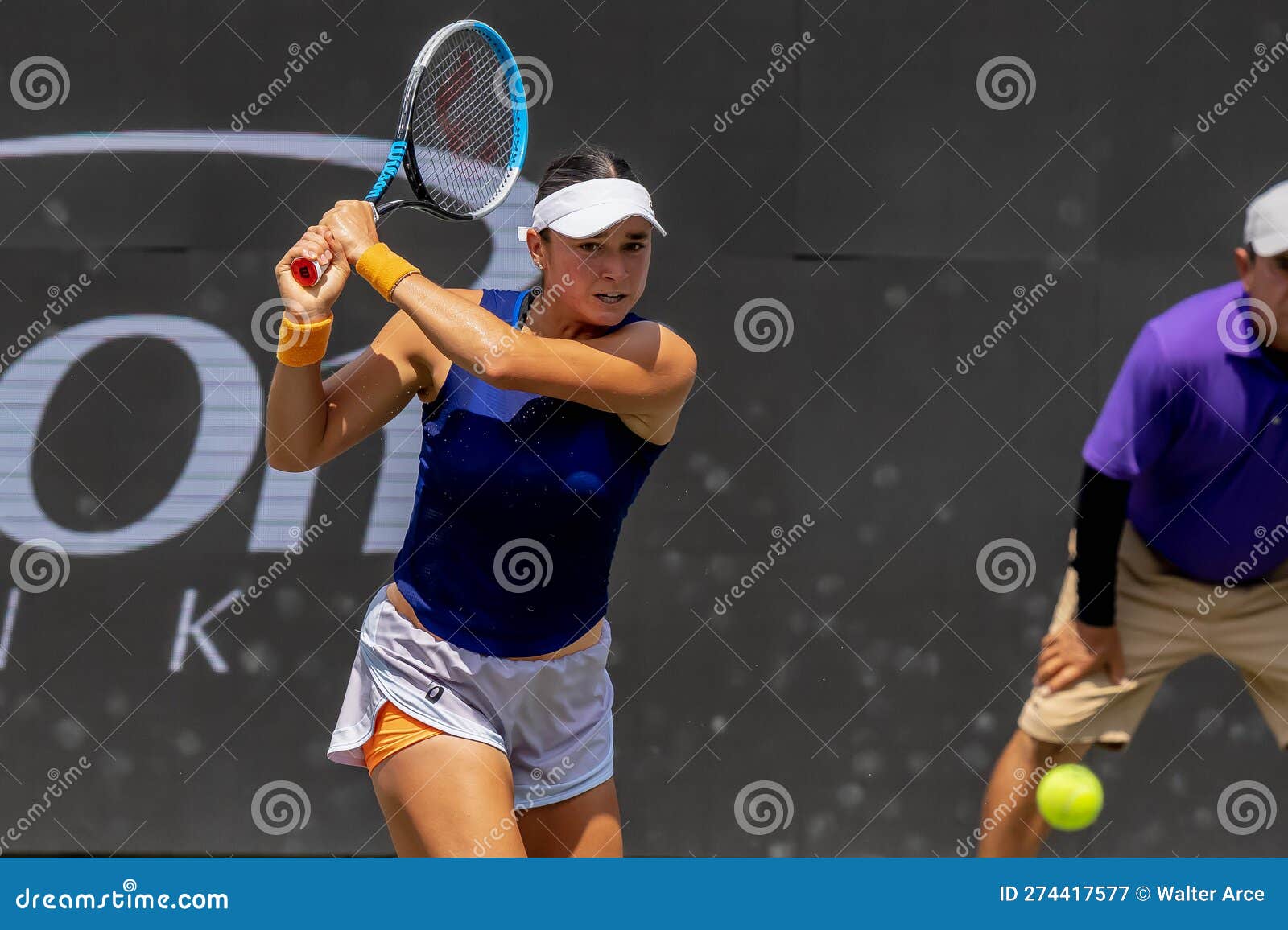 WTA Series: April 06 Credit One Charleston Open Editorial Photography - Image of athletic, plays