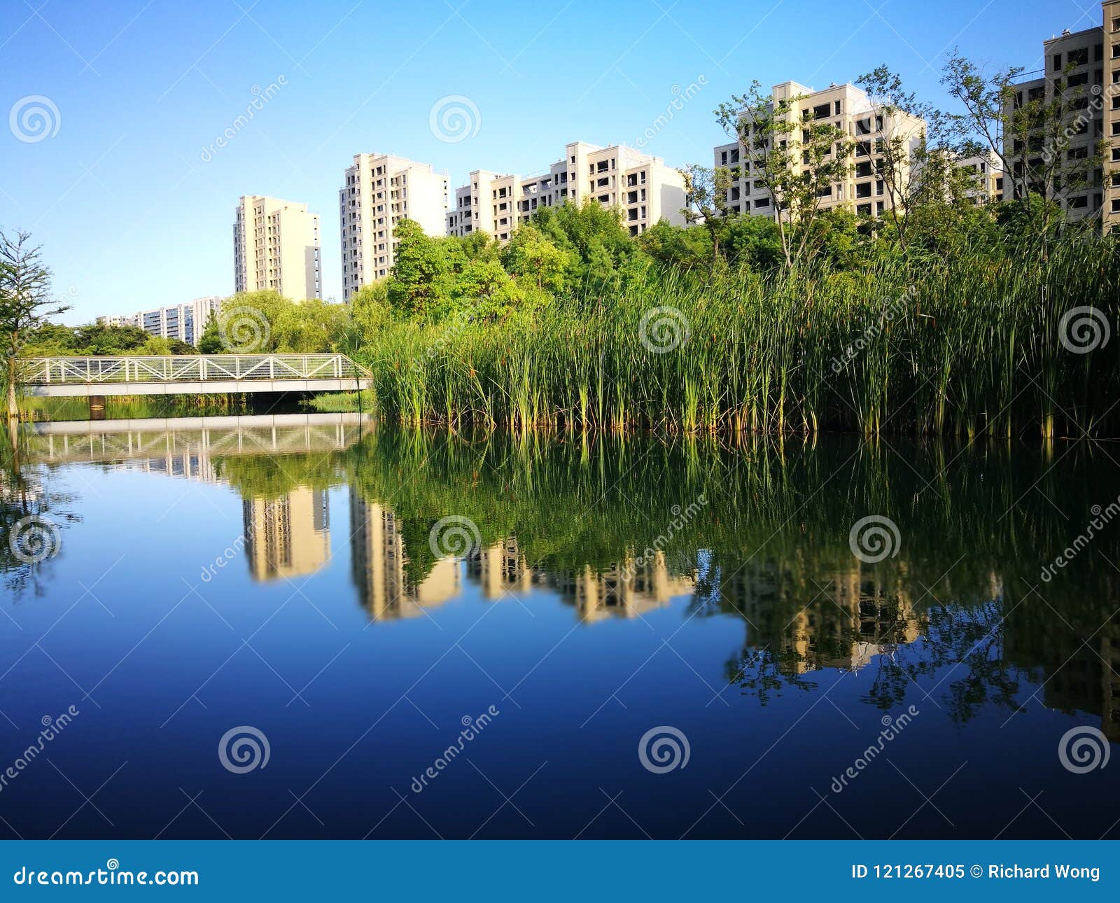 The Wuhu Center Garden Under The Sun Editorial Image Image Of