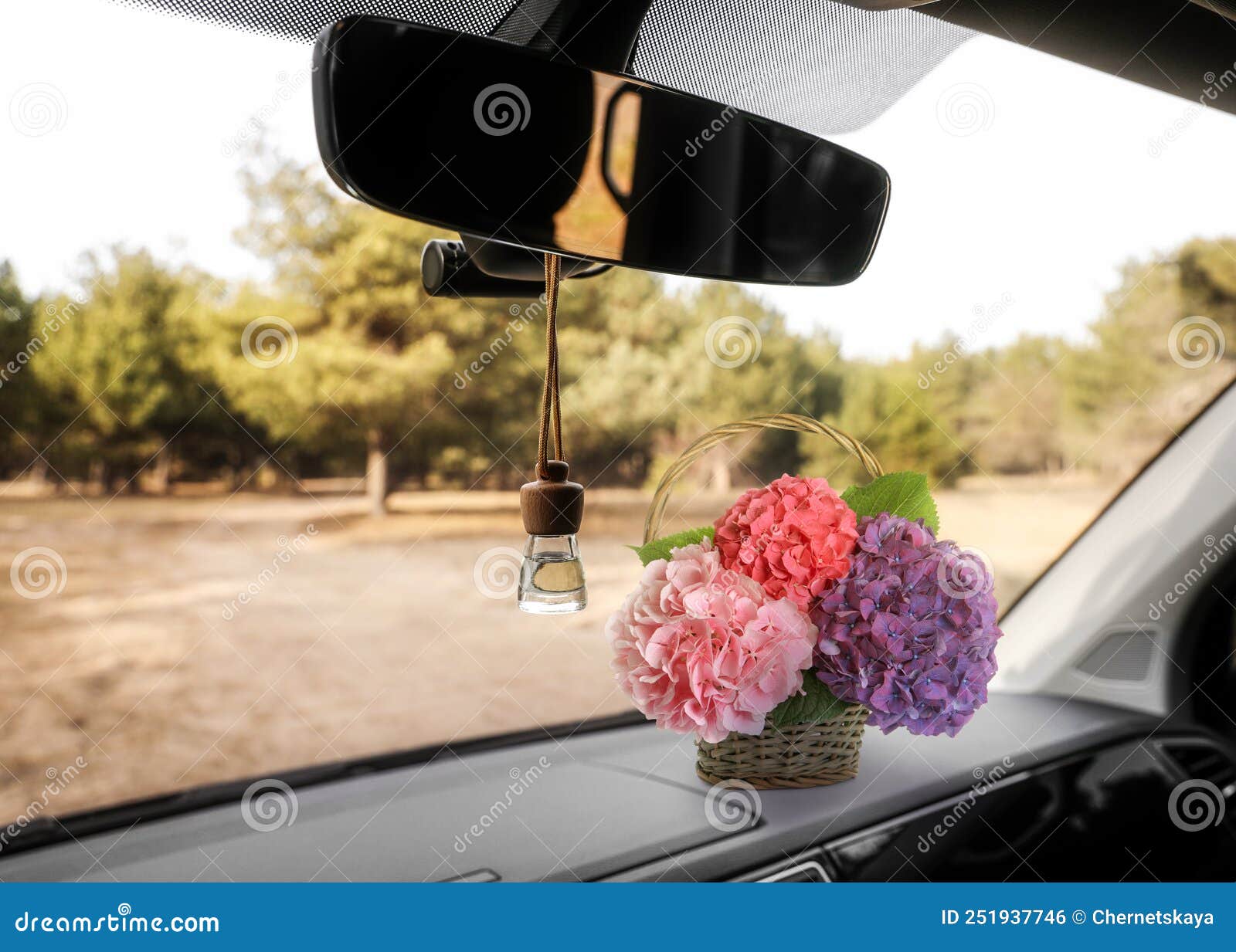 Wunderschöne Blumen Und Ein am Spiegel Hängender Lufterfrischer Im Auto  Stockfoto - Bild von spiegel, flasche: 251937746