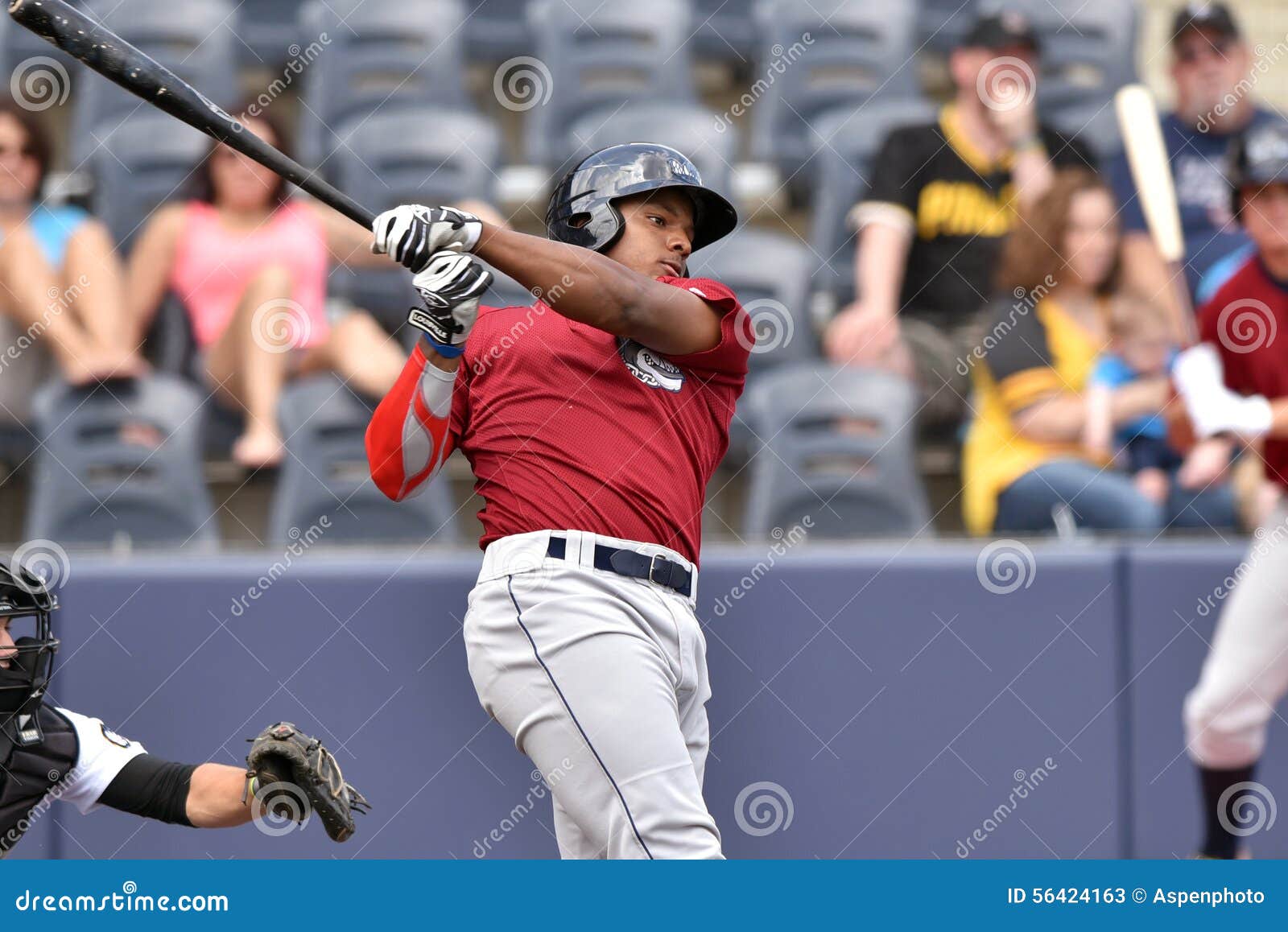 WV Black Bears Baseball - First Season Editorial Stock Photo - Image of
