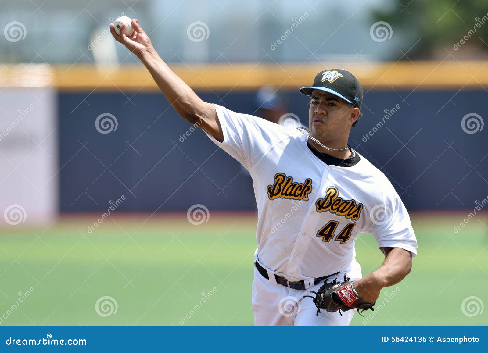 WV Black Bears Baseball - First Season Editorial Photo - Image of