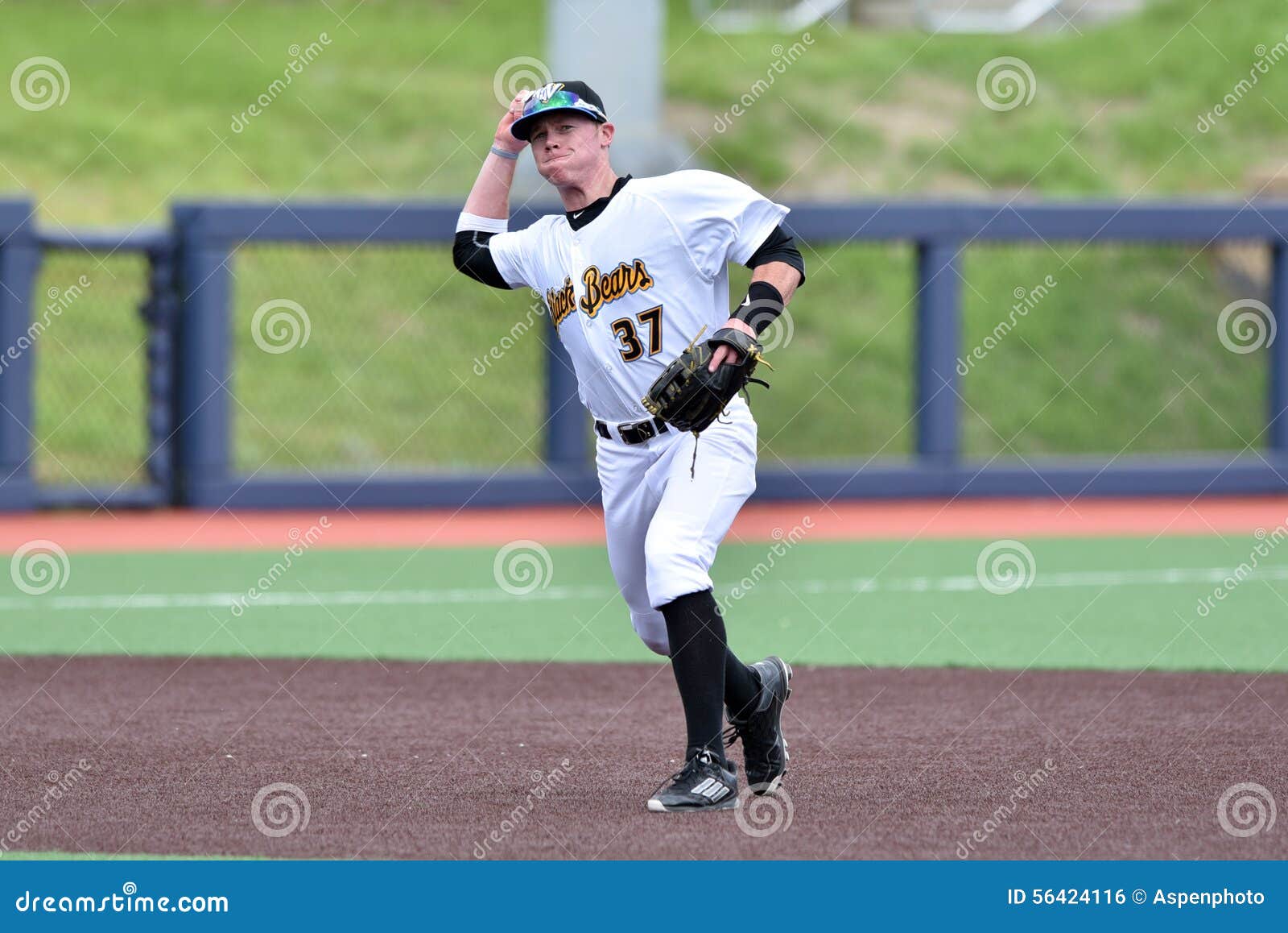 WV Black Bears Baseball - First Season Editorial Photo - Image of minor