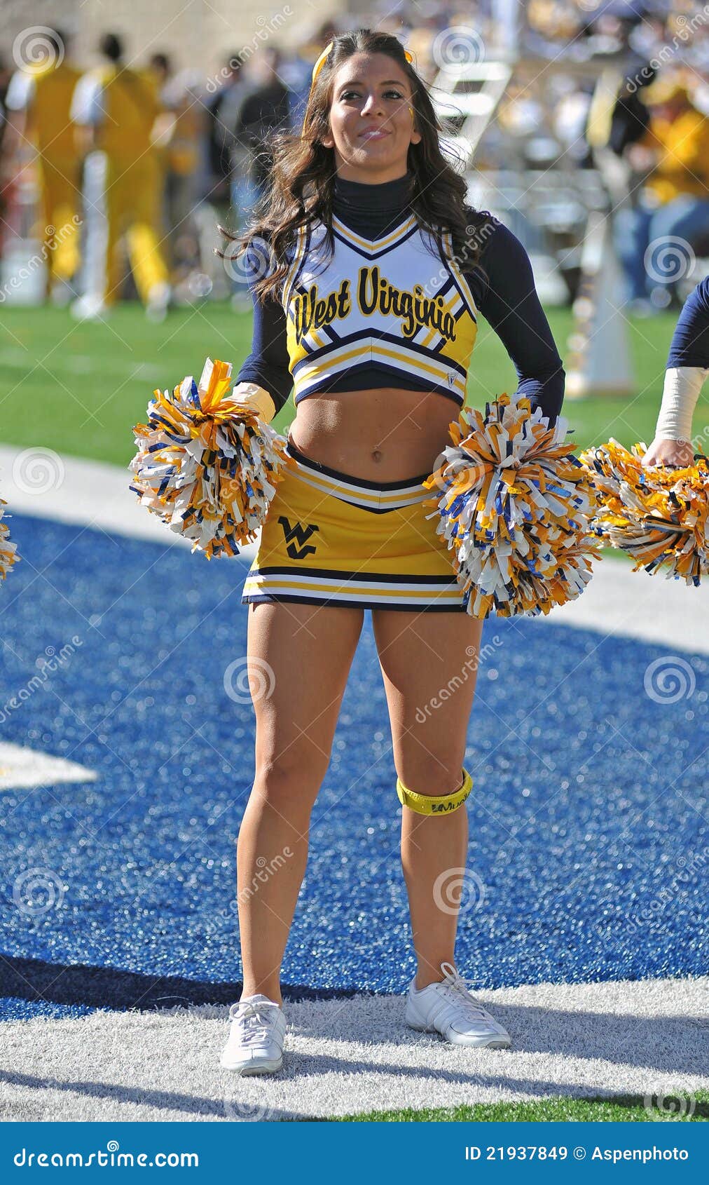 WVU Cheerleader editorial stock image. Image of mountaineers - 21937849