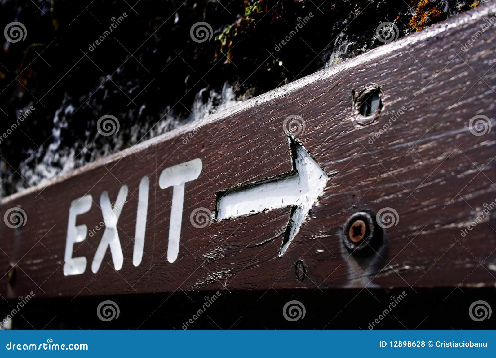 Rust exit status