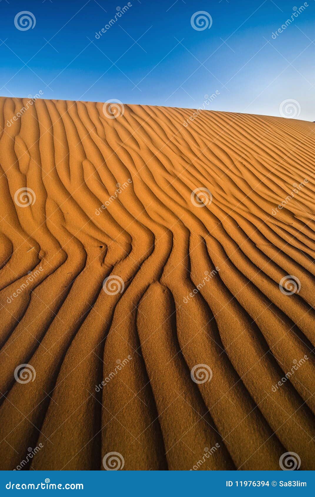 Alsharqia Sand in der Oman-Wüste