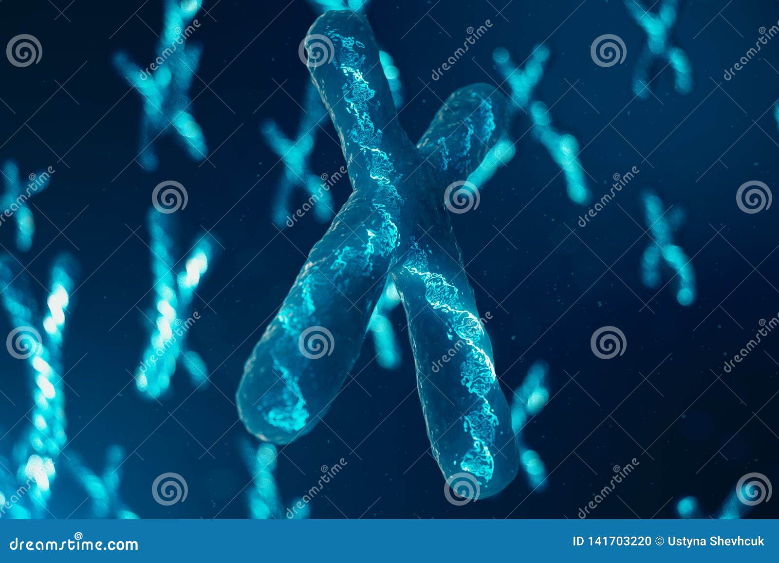 X Chromosomes With Dna Carrying The Genetic Code Genetics Concept