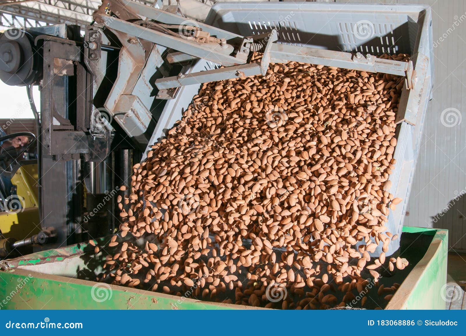 The working of almonds stock photo. Image of container 183068886