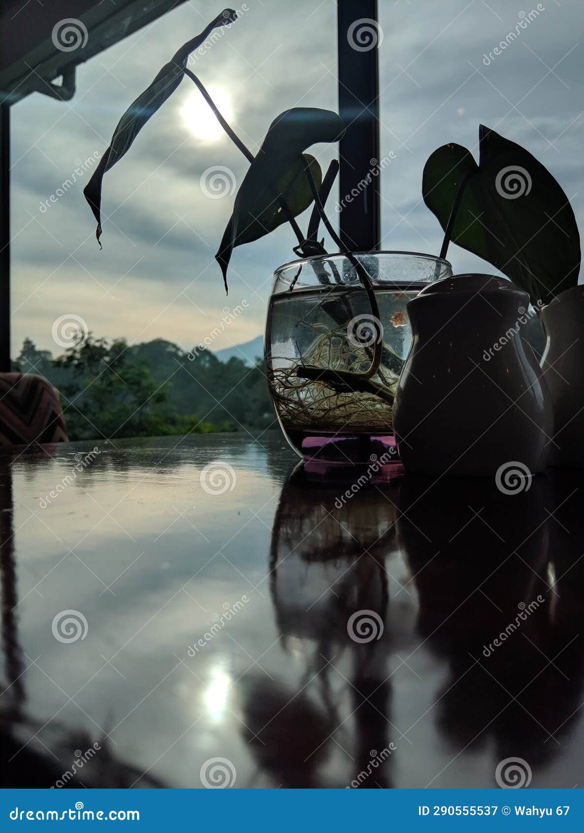 & X22;the Dining Table Adorned with Aquatic Plants at Lido Lake Resort
