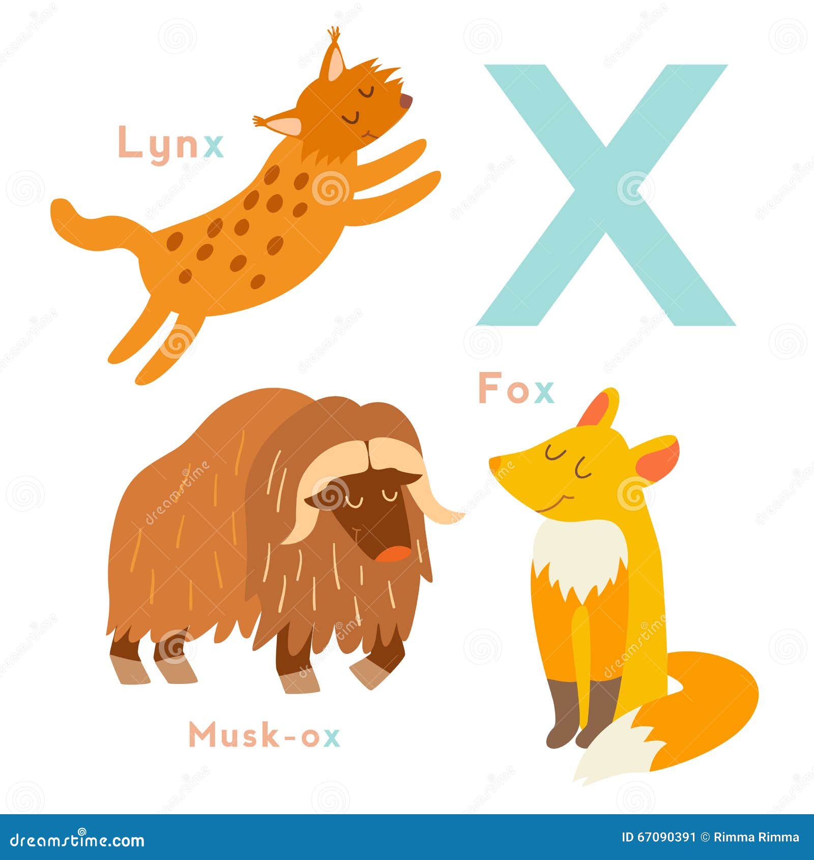 X Letter Animals Set. English Alphabet Stock Vector - Illustration of  letter, english: 67090391