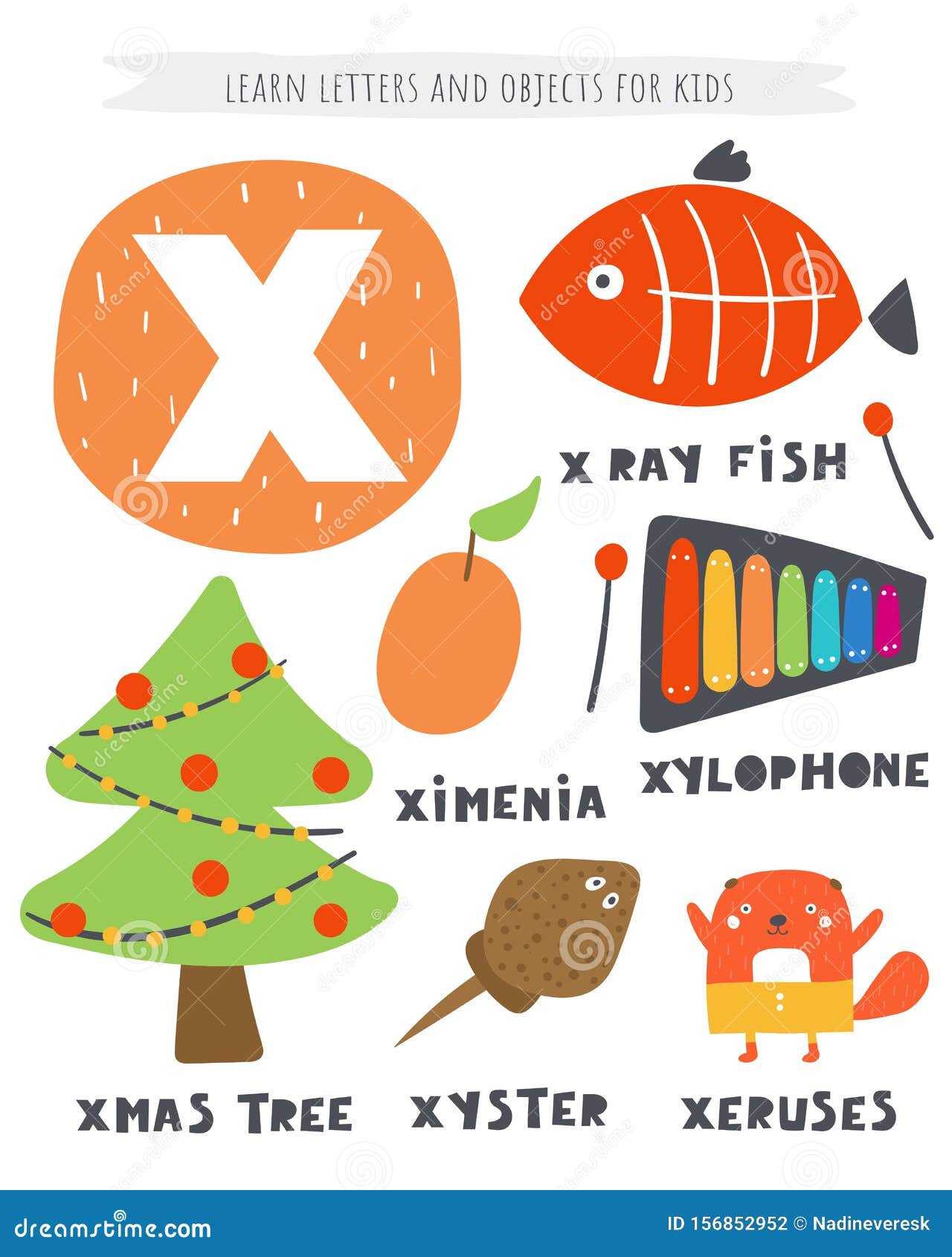 X Letter Objects And Animals Including Xmas Tree X Ray Fish Ximenia Xylophone Xyster Xeruses Stock Vector Illustration Of Blank Collection