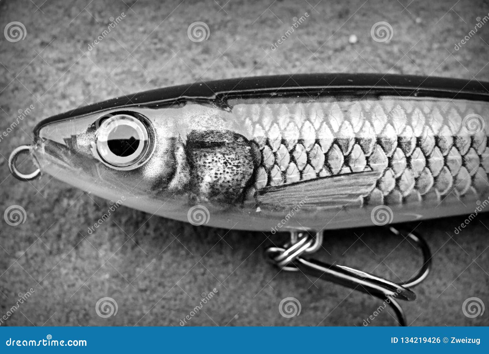 Rapala X Rap Subwalk Lure Plug for Big Predatory Fish Stock Photo - Image  of magic, lifelike: 134219426