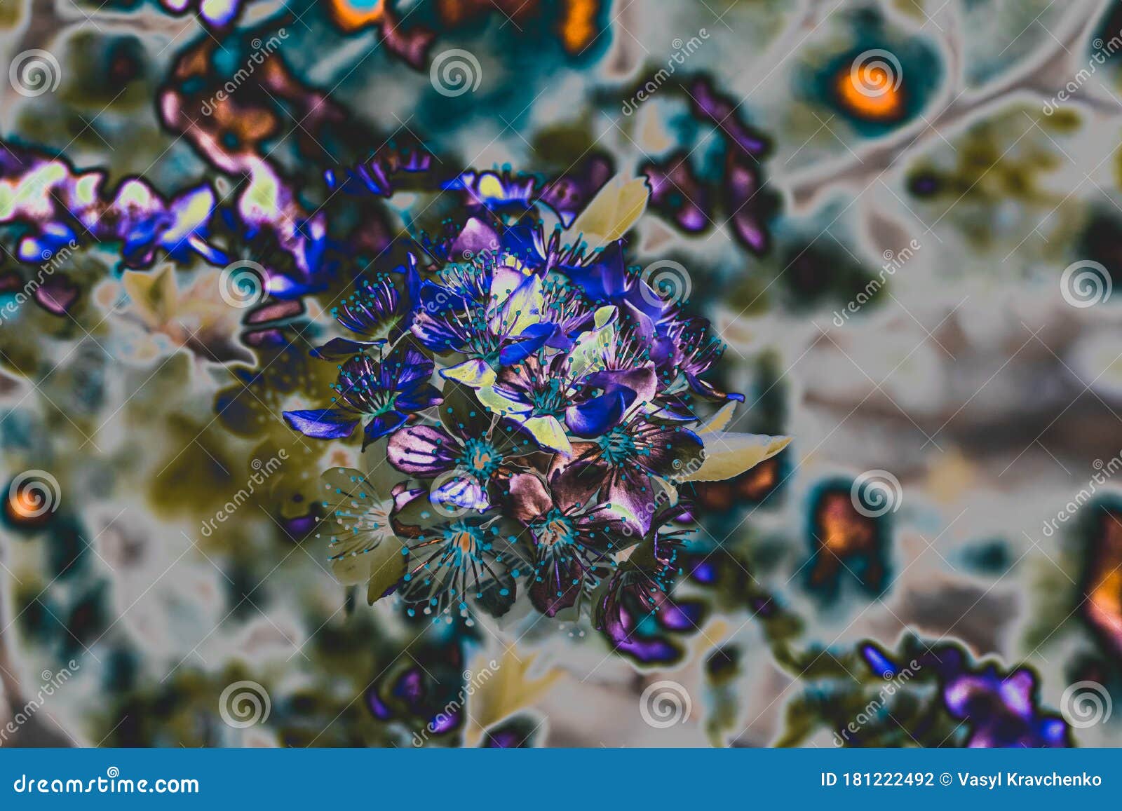 Xray Glow Effect of Spring Apricot Tree Flowers. Blooming Trees Stock