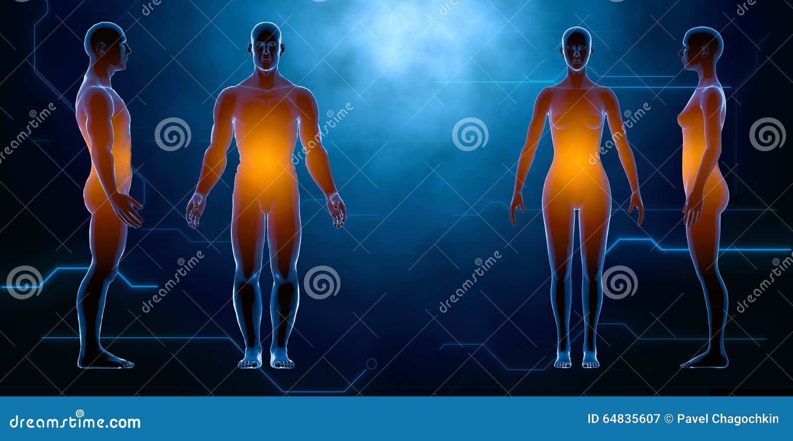 X Ray Human Male Female Body Anatomy Concept Isolate 3d Render Illustration Megapixl