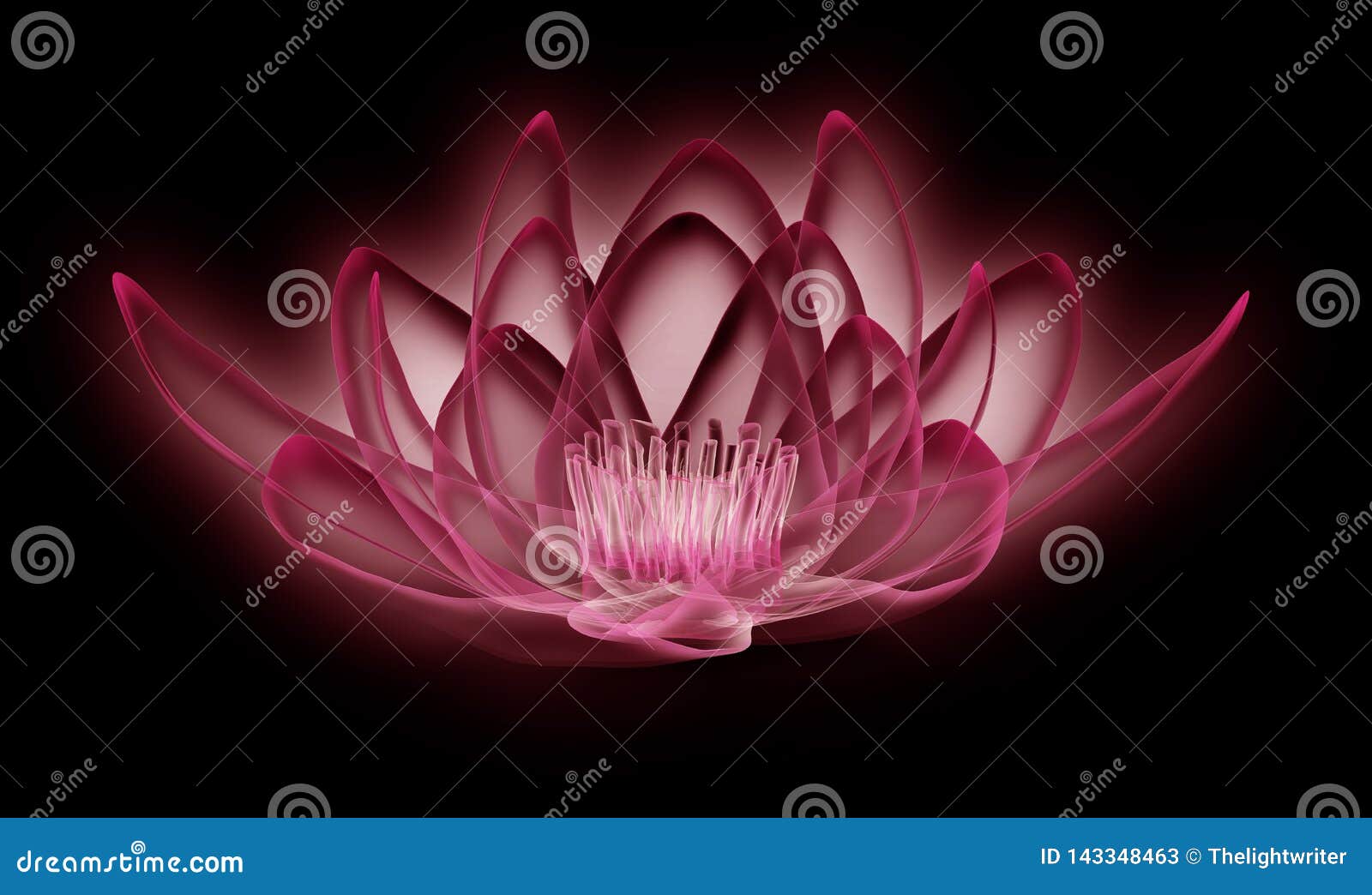 Xray Image of a Flower Isolated on Black, the Lotus 3d Illustration Stock Illustration