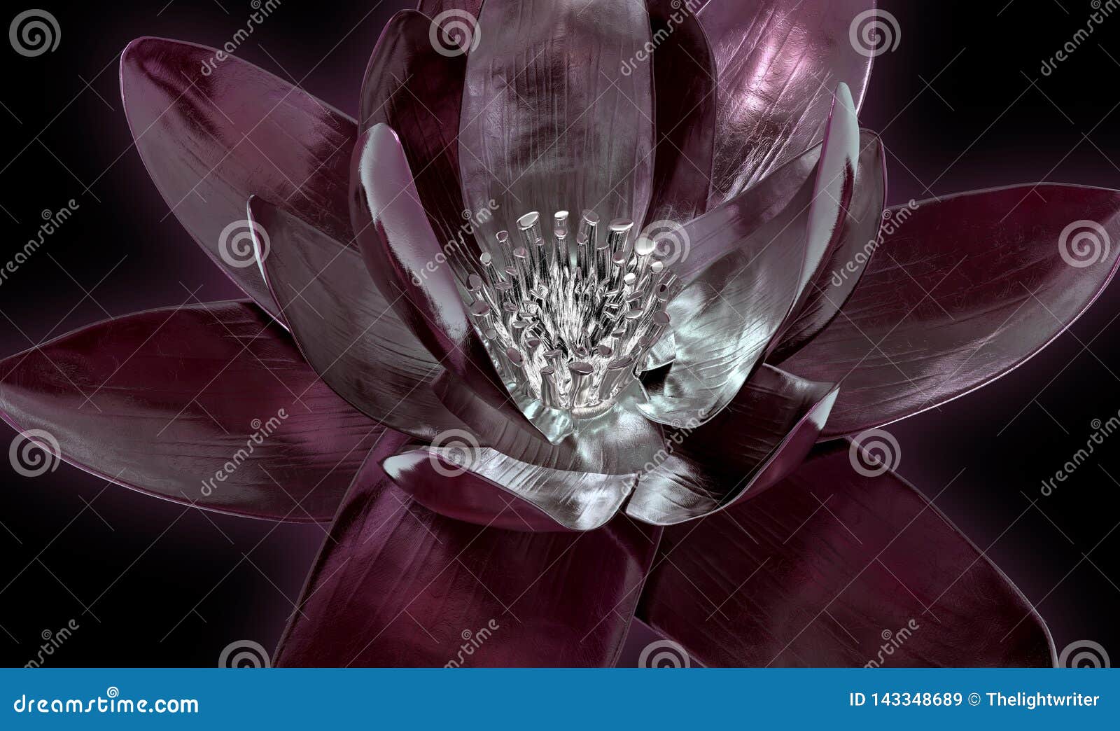 Xray Image of a Flower Isolated on Black, the Lotus 3d Illustration Stock Illustration