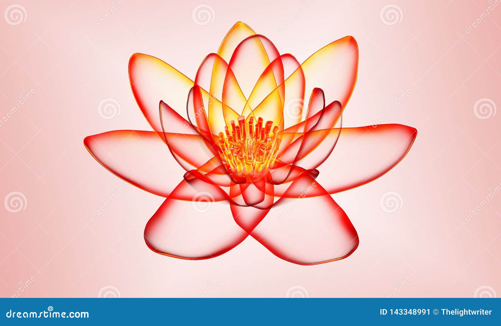 Xray Image of a Flower Isolated on White, the Lotus 3d Illustration Stock Illustration